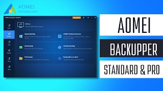 AOMEI Backupper Standard amp Pro  Data backup amp restore  How to Clone a Hard Disk Using AOMEI [upl. by Enneiluj]