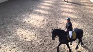 Roosenheuvel  Centered Riding  ook voor jou [upl. by Darnell]