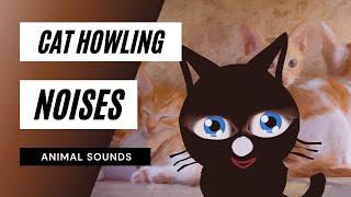 Cat Howling Noise  cat howling  sound effect [upl. by Balac]