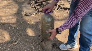 Como hacer potente abono orgánico liquido para arboles y plantas utilizando café y ceniza [upl. by Nally918]