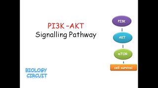 PI3KAKT Signalling Pathway [upl. by Archle854]