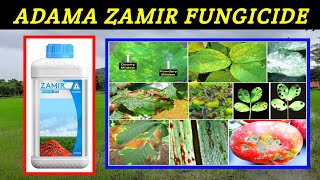 Adama zamir fungicide Tebuconazole124 prochloraz 246EWzamir fungicide price dose work result [upl. by Collum]