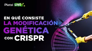 Cómo funciona la modificación genética con CRISPR [upl. by Leiuqese150]