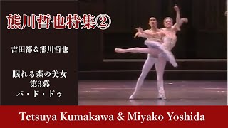 【人間国宝】熊川哲也特集②吉田都さんとの眠れる森の美女第３幕パ・ド・ドゥ Best of Tetsuya Kumakawawith Miyako Yoshida [upl. by Fairfield]