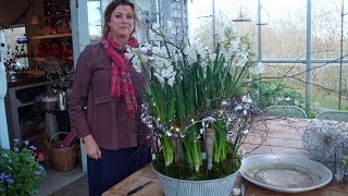 How to make a scented narcissi table centrepiece [upl. by Teece314]