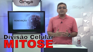 Biologia  Divisão Celular  Mitose [upl. by Annot966]