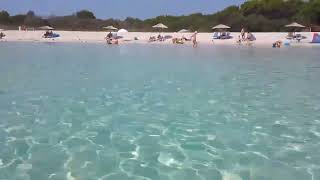 Caraibi Croati Dugi Otok Sakarun [upl. by Kohl]