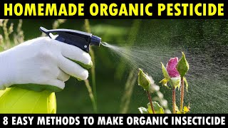 Best Homemade Organic Pesticides for Vegetable Plants  How to make Organic insecticide at Home [upl. by Dierdre]