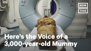 Researchers recreate what mummys voice would have sounded like meme [upl. by Thier]