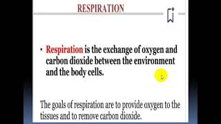 Respiratory Physiology  Introductory Class [upl. by Wickman500]