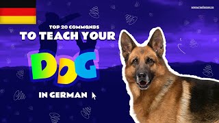 Teach Your Dog Commands In German 20 Common Words [upl. by Nnayr]