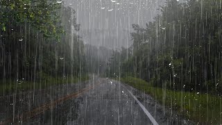 Sonido de Lluvia Fuerte y Perfecto para Dormir Profundamente  Lluvia Relajante en el Bosque Brumoso [upl. by Owiat]