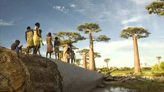 The Avenue of the Baobabs  Madagascar [upl. by Dirk9]