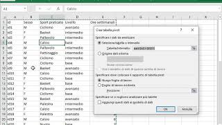 Serie statistiche con Tabelle Pivot Excel e Fogli Google [upl. by Morganica]