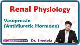 Vasopressin Antidiuretic Hormone  Renal physiology USMLE Step 1 [upl. by Nahtanod]