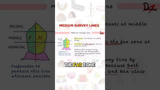 Medium Survey Lines [upl. by Atnima306]