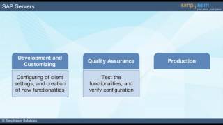 Learn Basic SAP Skills  How to Use SAP at Business Work Place  Evolution of SAP [upl. by Llerrac225]