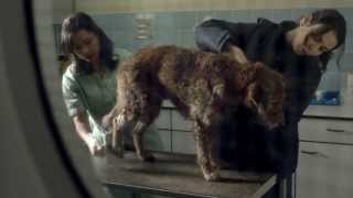 Pedigree 2013 Feeding Brighter Futures Ad Bad Dog Good Dog [upl. by Axel]