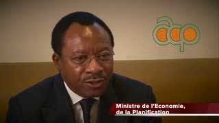 Emmanuel Nganou Djoumessi Ministre de lEconomie de la Planification du Cameroun [upl. by Aznecniv]