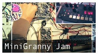 MiniGranny Jam w bitRanger Minisizer MicroGranny 2 Volca Beats TTNM [upl. by Arbmik]