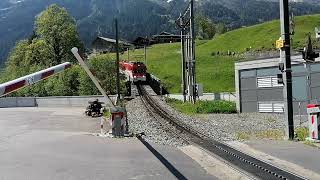 Wengernalpbahn Grindelwald Grund Verkehr Eisenbahn Schweiz Zahnradbahn WAB [upl. by Yanahs]