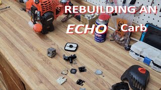 Echo SRM225 carb rebuild [upl. by Enwad]