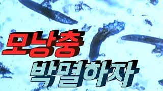 모낭충 예방 그리고 제거 뉴스킨 바디바  Demodex folliculorum  Nuskin Bodybar [upl. by Yornek]