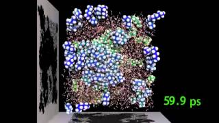 Oil and water separation by molecular dynamics simulation [upl. by Jennee]