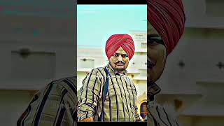 BAMBIHA BOLE Official Video Amrit Maan  Sidhu Moose Wala  Tru Makers  Latest Punjabi Songs 2020 [upl. by Notyep138]