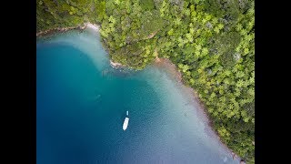 Exploring Marlborough Sounds New Zealand [upl. by Limaa]