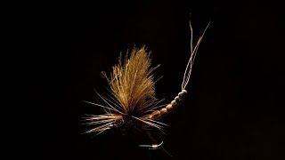 Vulgata Dun  Fly Tying Tutorial [upl. by Atika]