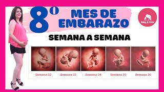 Octavo mes de embarazo así crece tu bebé 🤱Embarazo semana a semana👶 [upl. by Seve]