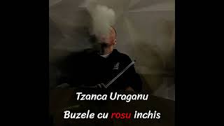 Tzanca Uraganu  Buzele cu rosu inchis Remix By DaizzyBeats [upl. by Gibbie]