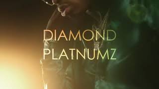 Diamond Platnumz ft Omarion African Beauty Official Video [upl. by Iden]