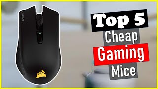 🤷‍♂️Top 5 Best Cheap Gaming Mice  Best Cheap Gaming Mice in 2024 [upl. by Molohs]