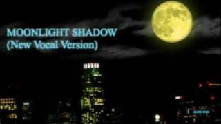 Moonlight Shadow New Vocal Version  Missing Heart [upl. by Itteb]