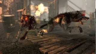 Round change and new hellhound round COD Black Ops Zombies [upl. by Rogers]