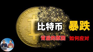 比特币暴跌3万多美金，背后原因是什么？该如何应对？答案都在这里了！ 零度解说 [upl. by Dragon197]