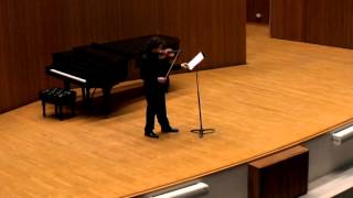 2016 Aspen Violin Fellowship Audition [upl. by Cletus507]