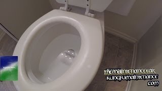 Why I Prefer Plastic Over Wood Toilet Seats Replacing Maintenance DIY Repair Video [upl. by Anitnas]