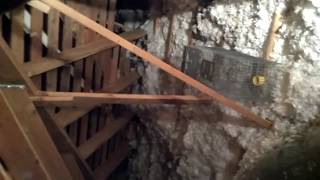 Extermination Exterminators Attic Crawlspace Rodent infestation Control Removal Trapping in my area [upl. by Aimo]