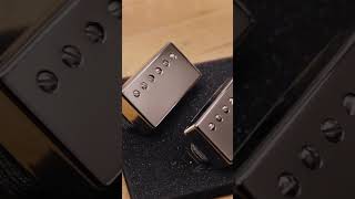 Pairing Mojotone Pickups and Guitar Speakers BV25M with 59 Clone Humbucker short [upl. by Magna909]