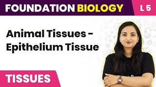 Animal Tissues  Epithelium Tissue  Tissues  L5  NEET Foundation Biology [upl. by Socher823]