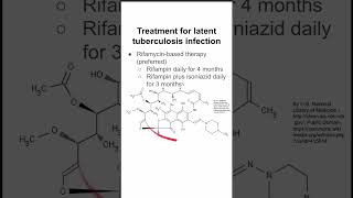 Treatment for latent tuberculosis infection [upl. by Harl]