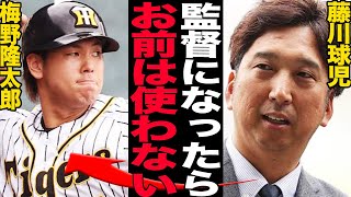 藤川球児新監督就任で梅野隆太郎が追放決定的に…阪神タイガースの血の入れ替えに驚きを隠せない！！藤川の監督が決定的になったなかで兼ねてから指摘していた不要選手の正体と理由が…【プロ野球】 [upl. by Yditsahc]