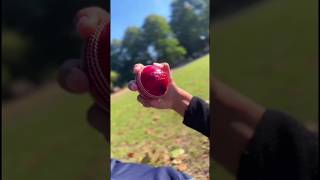 Mastering seam movement fastbowling swing seam cricket cricketlover shorts [upl. by Crista]