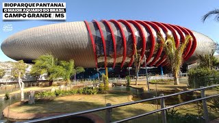 ESTE É O MAIOR AQUÁRIO DO BRASIL BIOPARQUE PANTANAL EM CAMPO GRANDE MATO GROSSO DO SUL [upl. by Hartmann]