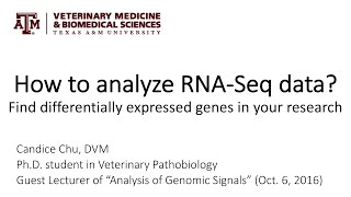 How to analyze RNASeq data Find differentially expressed genes in your research [upl. by Bud]