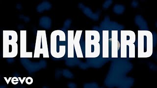 BLACKBIIRD Official Lyric Video [upl. by Ambrose]