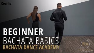 Bachata Beginner Basic Steps Tutorial  Demetrio amp Nicole  Bachata Dance Academy [upl. by Wootten]